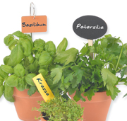 zum Produkt