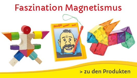 Magnetismus entdecken!