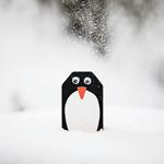 2_Gestaltung\1xxx\100506_G1_Pinguin.jpg