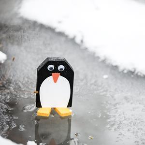 2_Gestaltung\1xxx\100506_G2_Pinguin.jpg