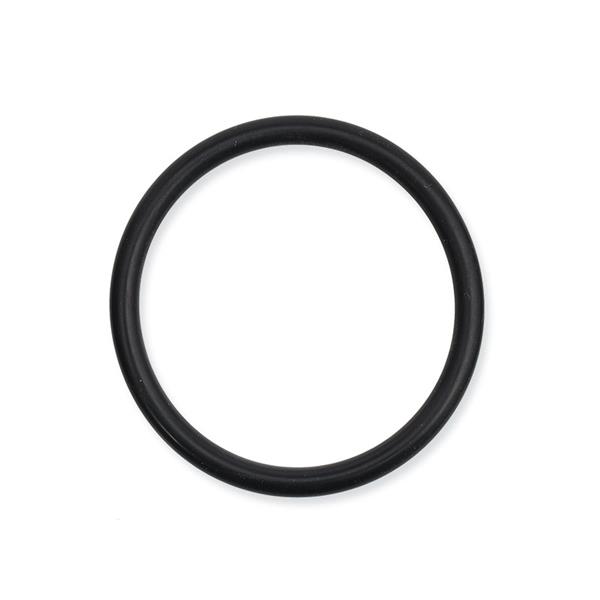 1_Produkt\1xxx\101802_2_O-Ring_42mm.jpg