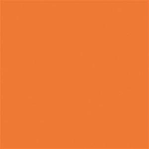 8_Farbfelder\1xxx\198820_Oster-Eierfarbe_Orange.jpg