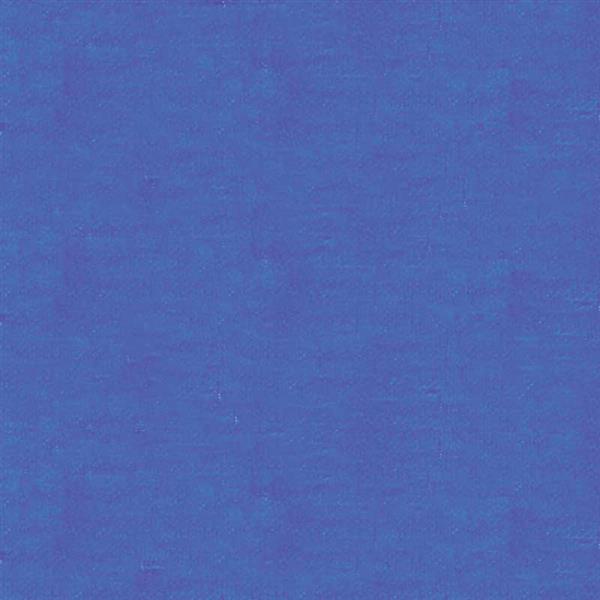 8_Farbfelder\1xxx\198960_Lebensmittel_Farbe_Mittelblau.jpg