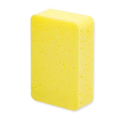 1_Produkt\2xxx\201105_2_Autoschwamm.jpg