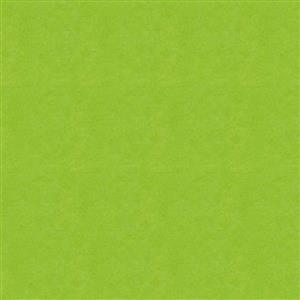 8_Farbfelder\2xxx\212051_Seidenpapier_Hellgruen.jpg