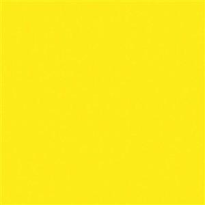 8_Farbfelder\2xxx\222312_Patio-Paint_Zitrone.jpg