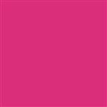 8_Farbfelder\2xxx\222343_Patio-Paint_Hot-Pink.jpg