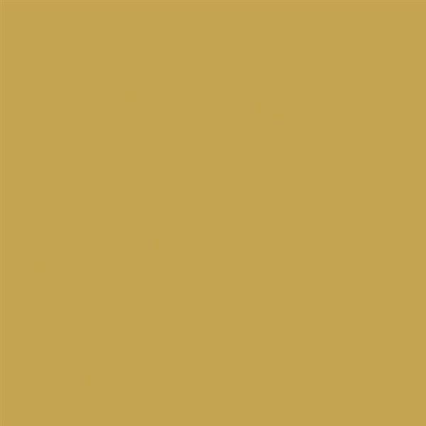 8_Farbfelder\2xxx\223718_Lackspray_Metallic_Gold.jpg