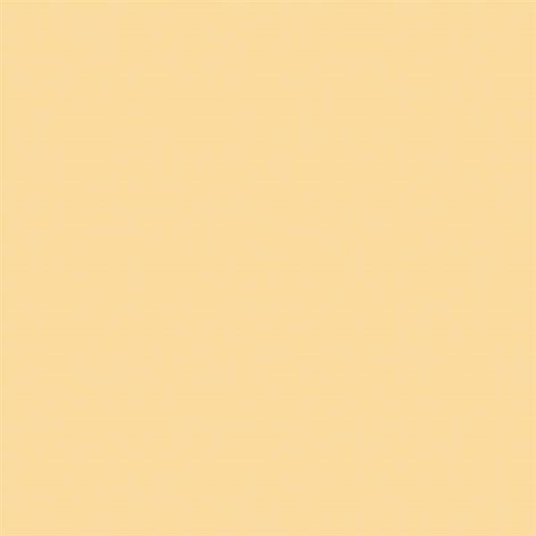 8_Farbfelder\2xxx\286602_SoloGoya-Acryl_Beige.jpg