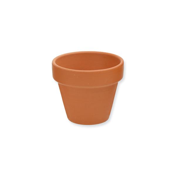 1_Produkt\3xxx\300111_1_Blumentopf_Terracotta_55x50mm.jpg