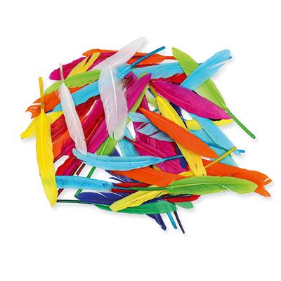 1_Produkt\3xxx\300635_5_Federn-Grosspackung.jpg