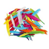 1_Produkt\3xxx\300635_5_Federn-Grosspackung.jpg