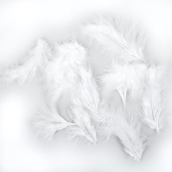 1_Produkt\3xxx\301744_1_Federn_weiss.jpg