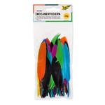 1_Produkt\3xxx\301804_1_Indianerfeder_Folia.jpg
