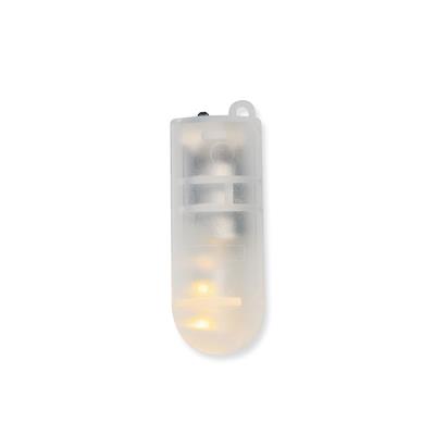 1_Produkt\3xxx\303148_3_LED_Laempchen.jpg
