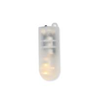 1_Produkt\3xxx\303148_3_LED_Laempchen.jpg