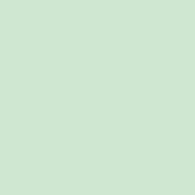 8_Farbfelder\4xxx\40282257_1a_KopierpapierPastell_Mint.jpg