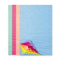 1_Produkt\4xxx\402867_1_Wabenpapier_Regenbogen.jpg