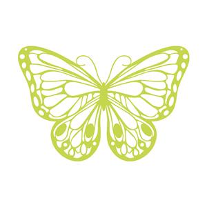 1_Produkt\5xxx\501702_1_Silhouette_Schmetterling.jpg