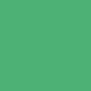 8_Farbfelder\5xxx\50192153_Supersticks_Zartgruen.jpg