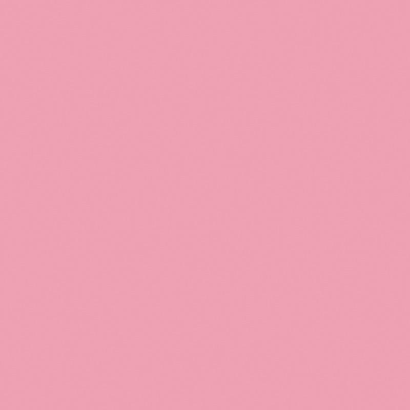 8_Farbfelder\5xxx\50262240_Tempera_Ivo_Haas_Rosa.jpg