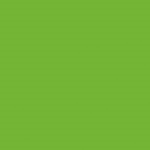 8_Farbfelder\5xxx\502819_Creall_Color_500ml_Hellgruen.jpg