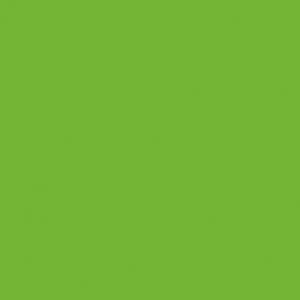 8_Farbfelder\5xxx\502819_Creall_Color_500ml_Hellgruen.jpg