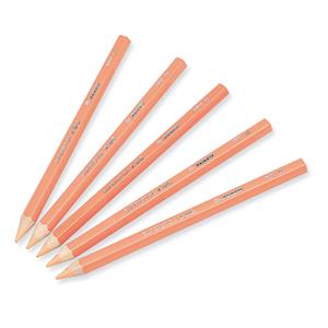 1_Produkt\5xxx\50354107_1_Farbstifte_XBIG_12Stk_Fleischfarbe.jpg