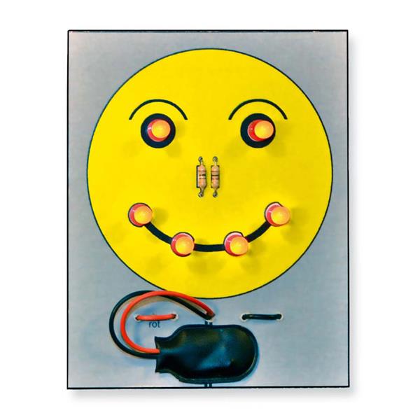 1_Produkt\5xxx\5494_1_Loetuebung_Blink_Smiley.jpg