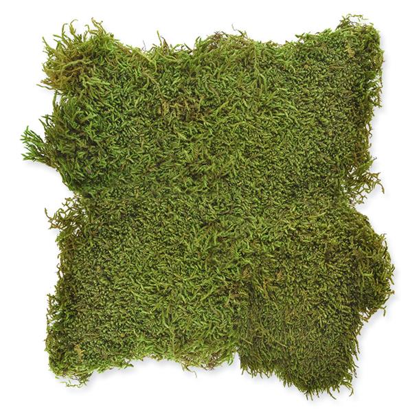 1_Produkt\6xxx\602752_1_Moos_Platte.jpg