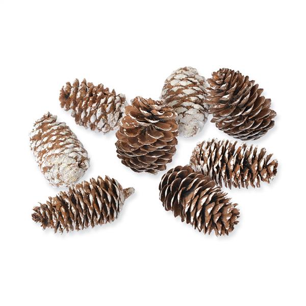 1_Produkt\6xxx\602876_1_Zapfen_natur_weiss.jpg