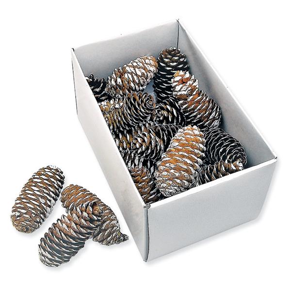 1_Produkt\6xxx\602876_3_Zapfen_natur_weiss.jpg