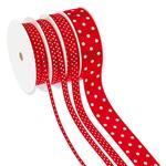 1_Produkt\6xxx\603258_2_Baenderset_Polka_Dots.jpg