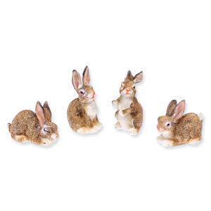 1_Produkt\6xxx\603426_1_Hasen_Hardy.jpg