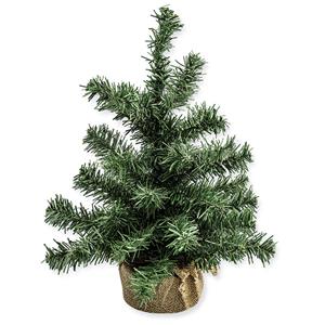 1_Produkt\6xxx\603672_1_Tannenbaum.jpg