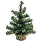 1_Produkt\6xxx\603672_1_Tannenbaum.jpg