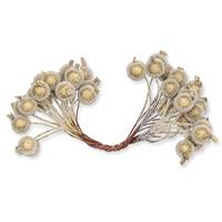 1_Produkt\6xxx\60370318_1_Frostbeeren_gold.jpg
