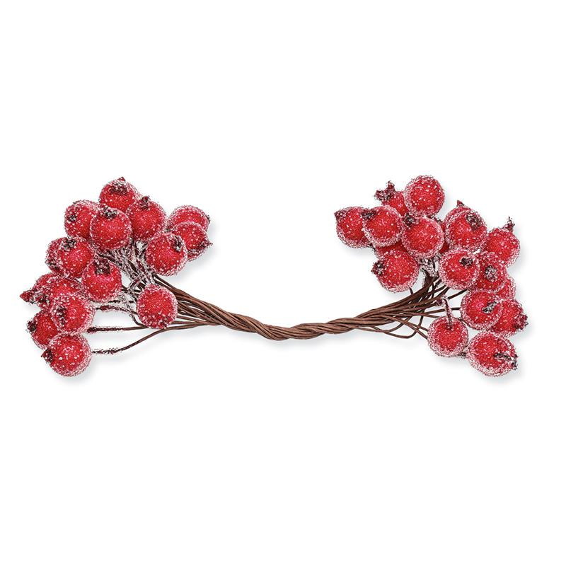 1_Produkt\6xxx\60370330_1_Frostbeeren_rot.jpg