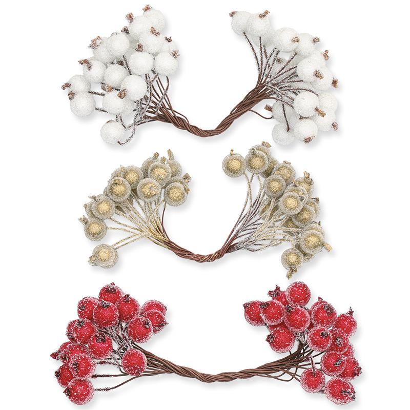 1_Produkt\6xxx\603703xx_1_Frostbeeren.jpg