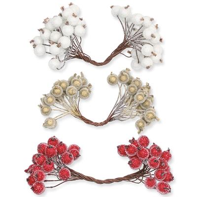 1_Produkt\6xxx\603703xx_1_Frostbeeren.jpg