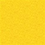 8_Farbfelder\6xxx\673310_Filzschnur_Gelb.jpg