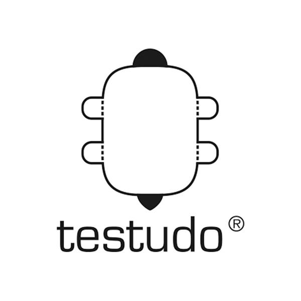 5_Logo\Testudo\Logo_testudo.jpg