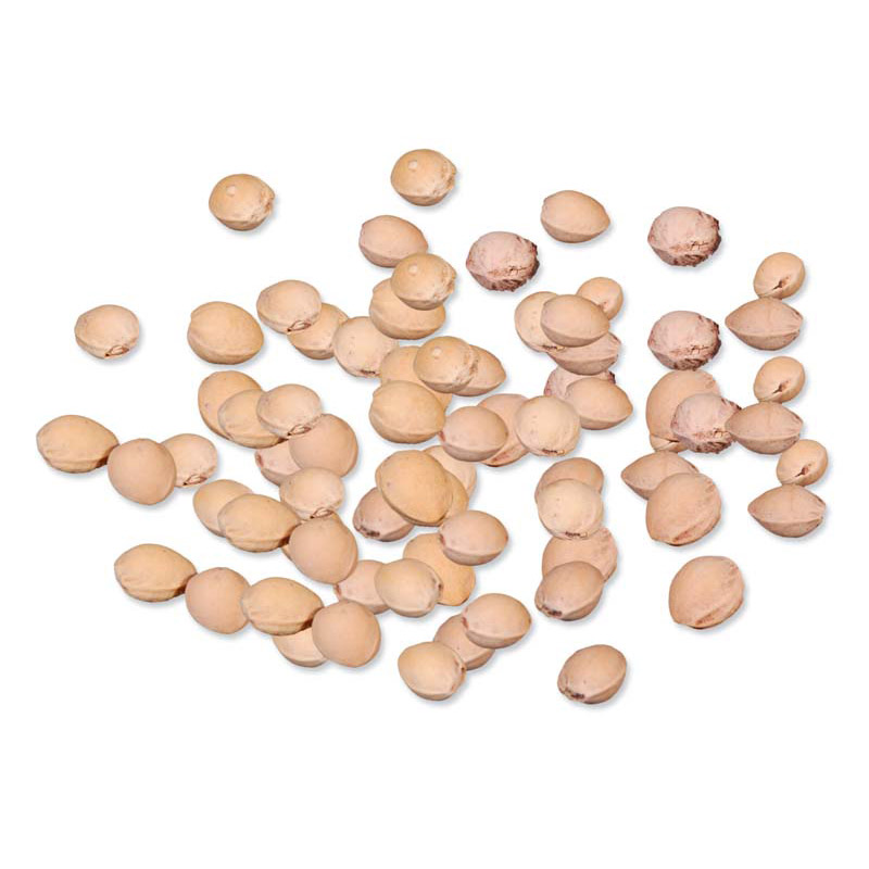Kirschkerne, ca. 10 kg/Pkg