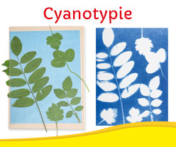 Cyanotypie