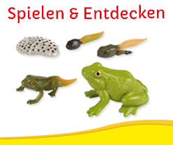 Spielen & Entdecken